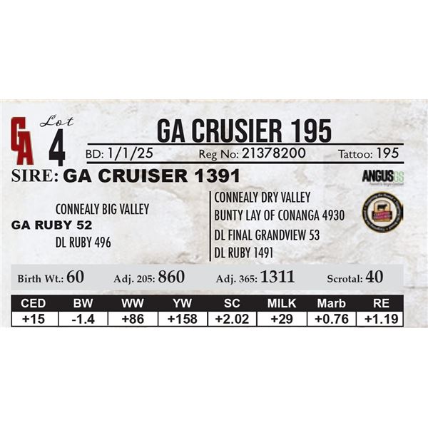 GA Crusier 195