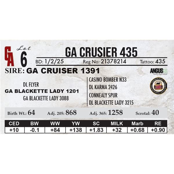 GA Crusier 435