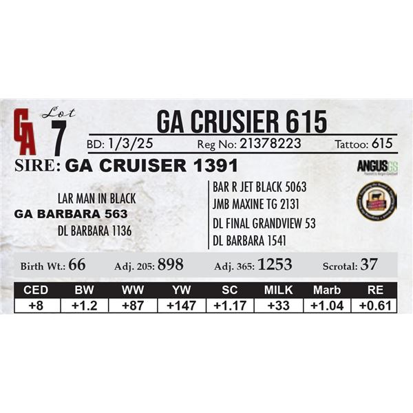 GA Crusier 615