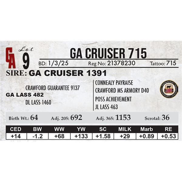 GA Cruiser 715