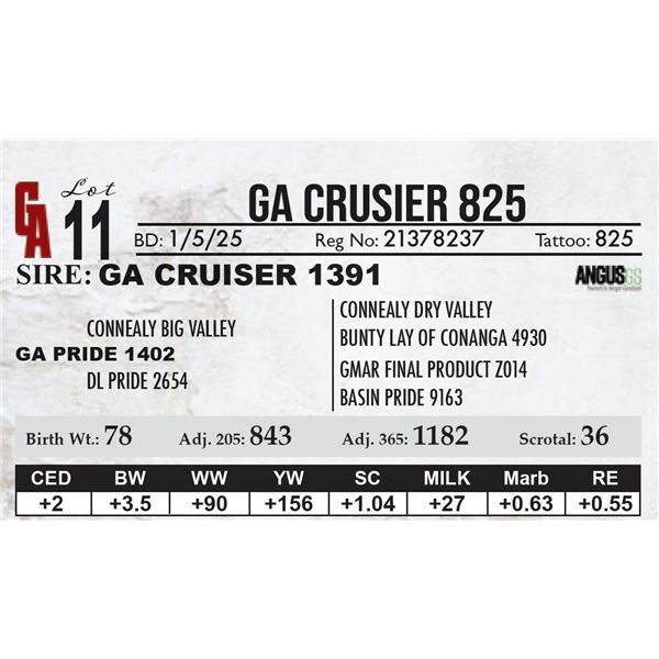 GA Crusier 825