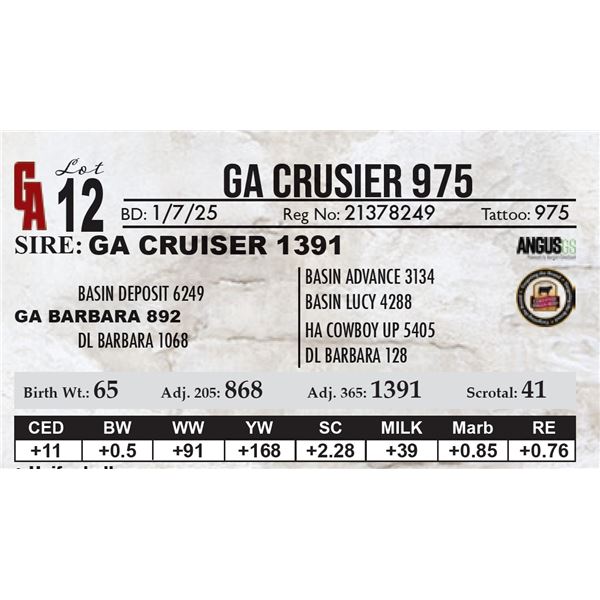 GA Crusier 975
