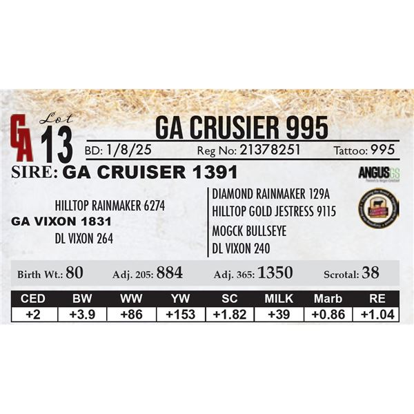 GA Crusier 995
