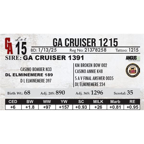 GA Cruiser 1215