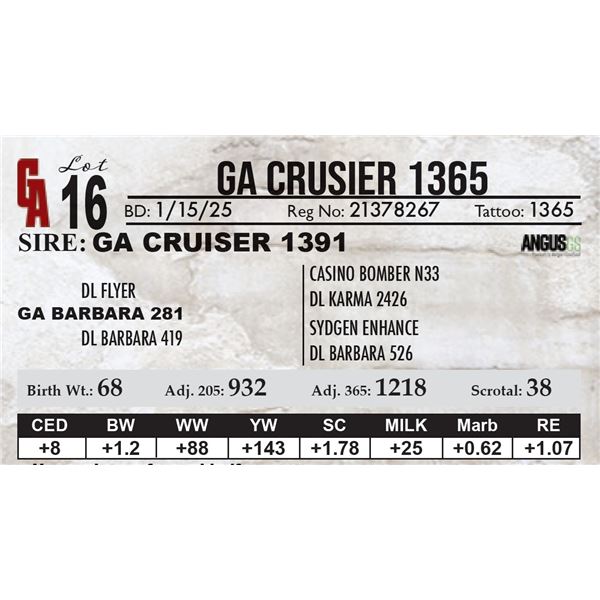 GA Crusier 1365