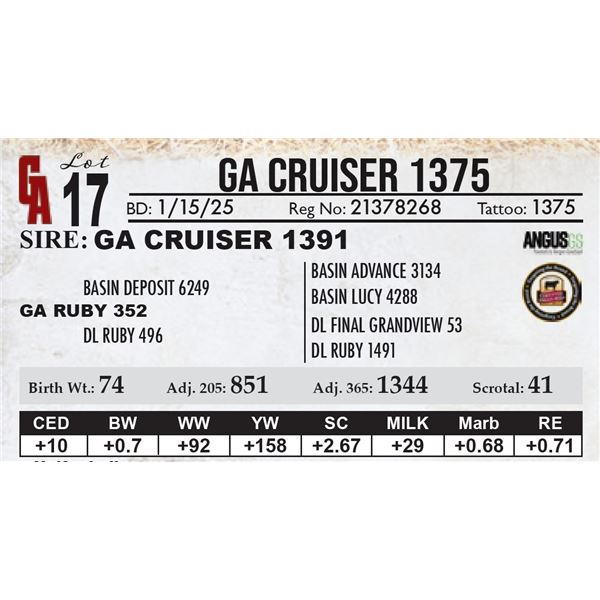 GA Cruiser 1375