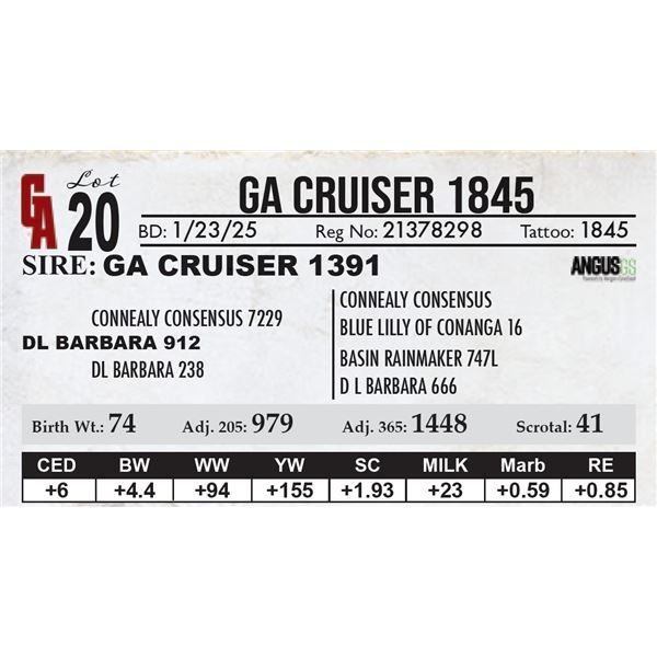 GA Cruiser 1845