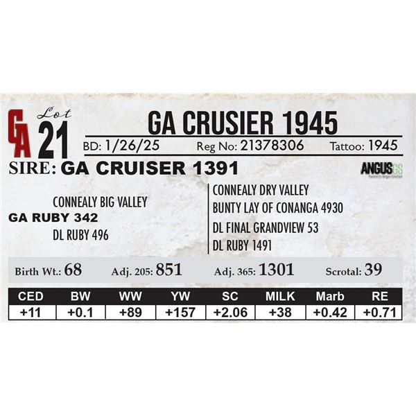 GA Crusier 1945