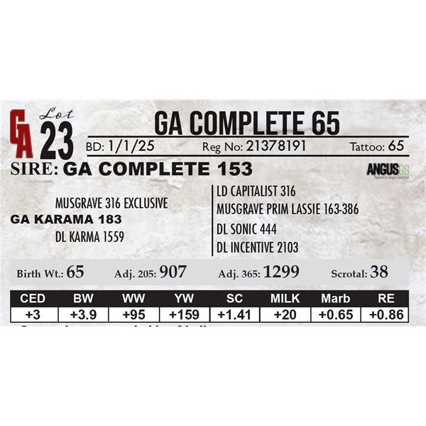 GA Complete 65