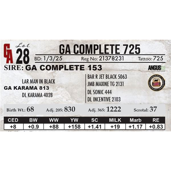 GA Complete 725