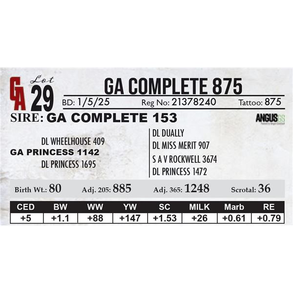 GA Complete 875