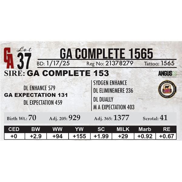 GA Complete 1565