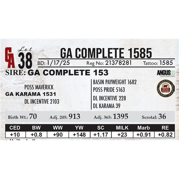 GA Complete 1585