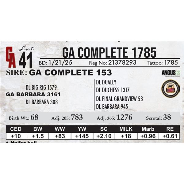 GA Complete 1785