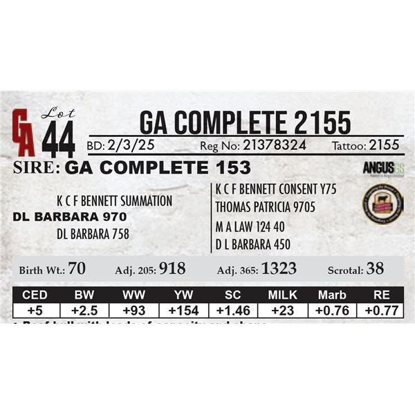 GA Complete 2155