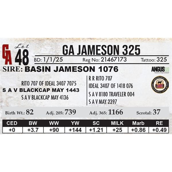 GA Jameson 325