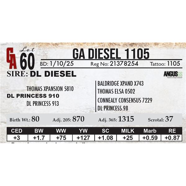 GA Diesel 1105