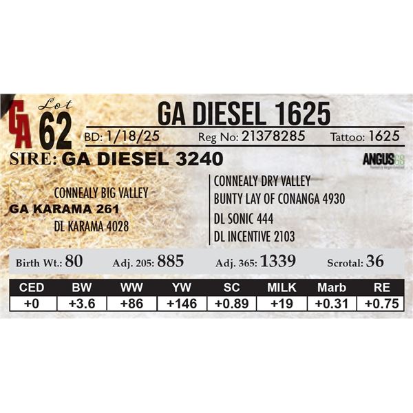 GA Diesel 1625