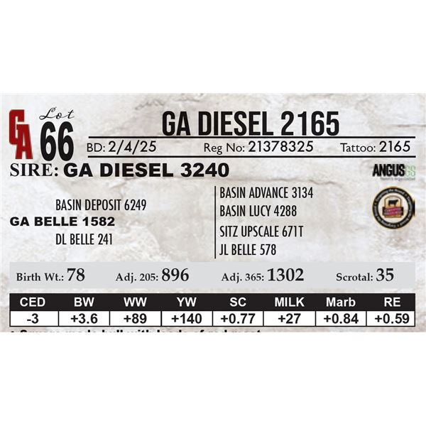 GA Diesel 2165