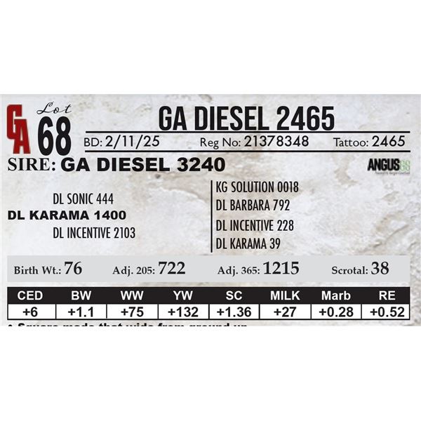 GA Diesel 2465