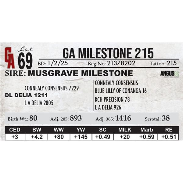 GA Milestone 215