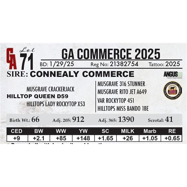 GA Commerce 2025