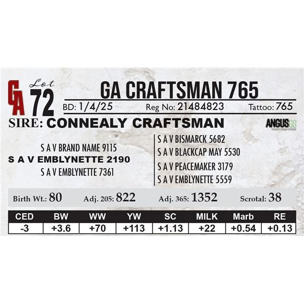 GA Craftsman 765
