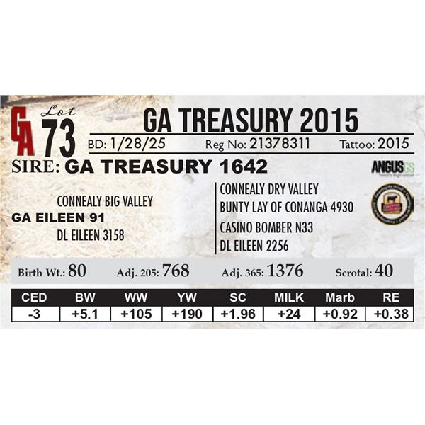 GA Treasury 2015