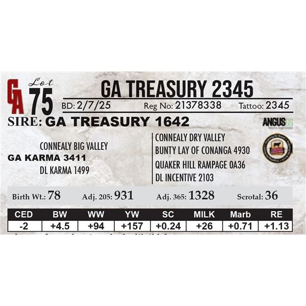 GA Treasury 2345