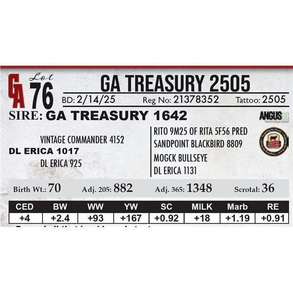 GA Treasury 2505