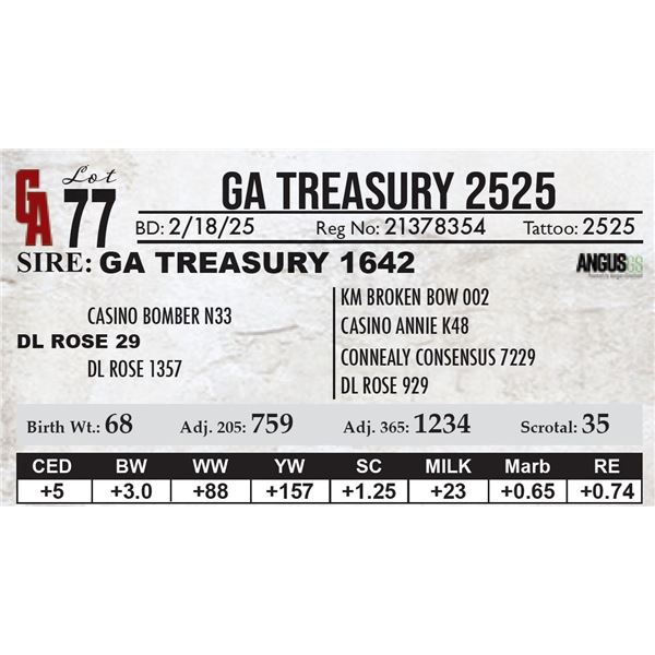 GA Treasury 2525
