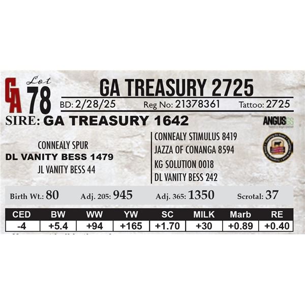 GA Treasury 2725