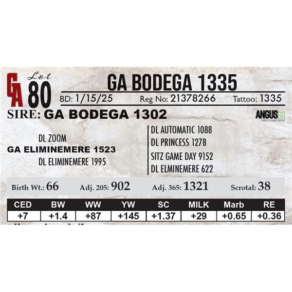 GA Bodega 1335