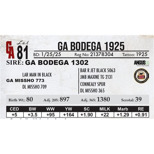 GA Bodega 1925