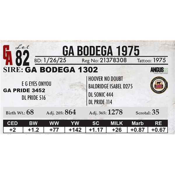 GA Bodega 1975