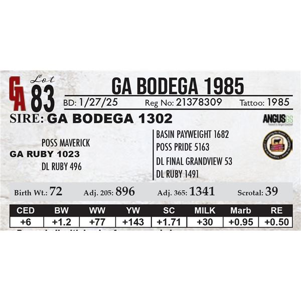 GA Bodega 1985
