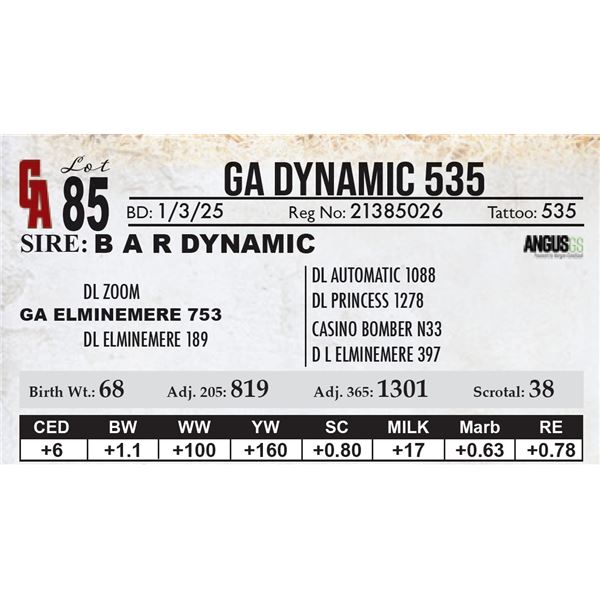 GA Dynamic 535