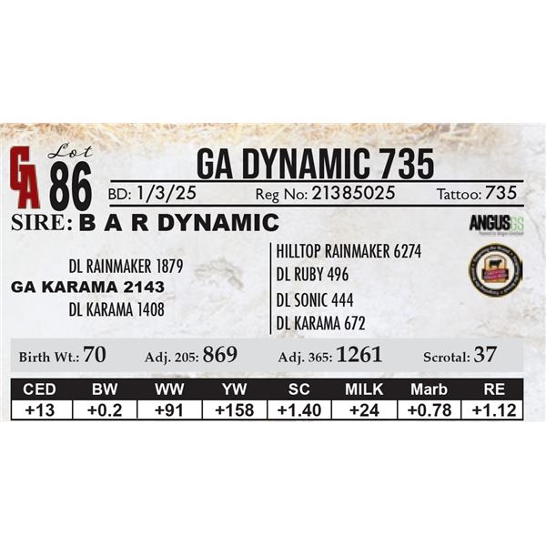 GA Dynamic 735