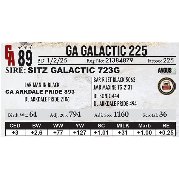 GA Galactic 225