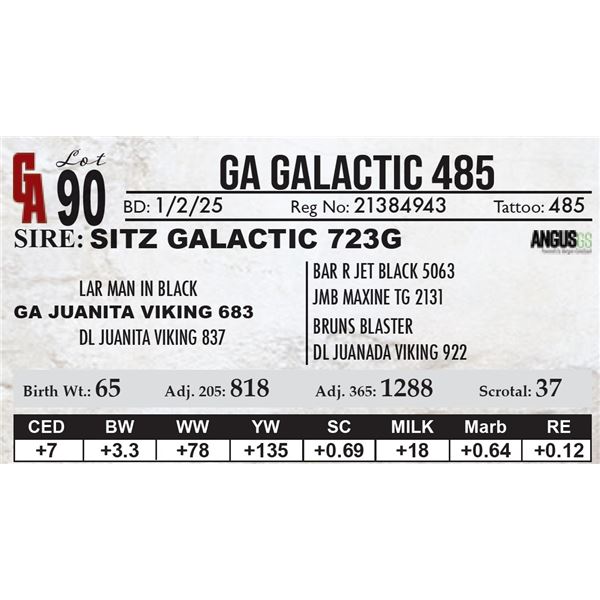 GA Galactic 485