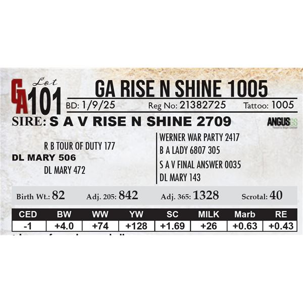 GA Rise N Shine 1005