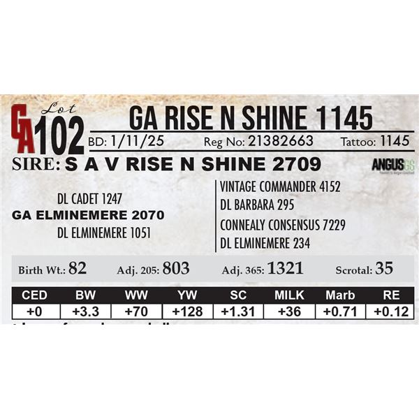 GA Rise N Shine 1145