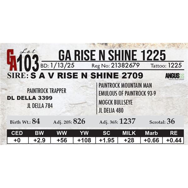 GA Rise N Shine 1225