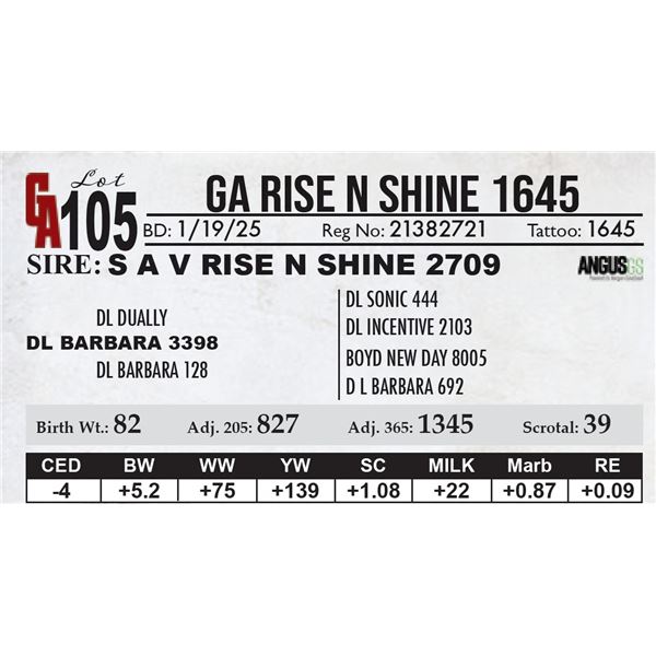 GA Rise N Shine 1645