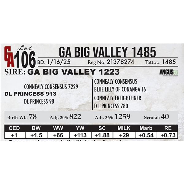 GA Big Valley 1485