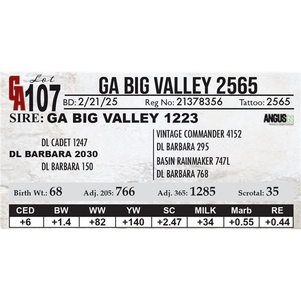 GA Big Valley 2565