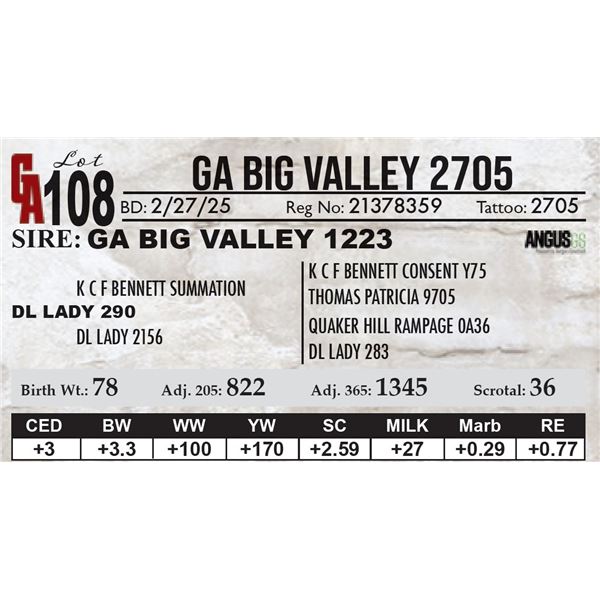 GA Big Valley 2705