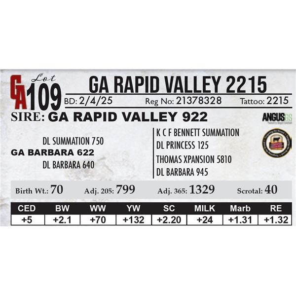 GA Rapid Valley 2215