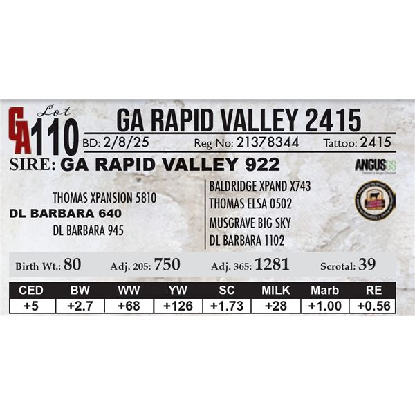 GA Rapid Valley 2415
