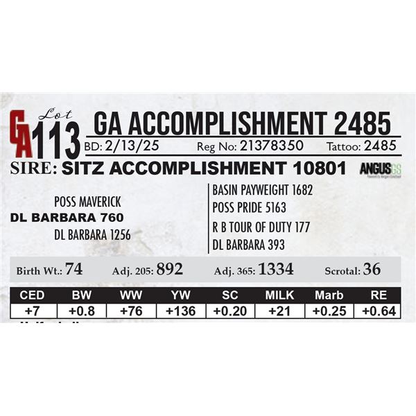 GA Accomplishment 2485